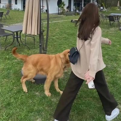 热带风暴